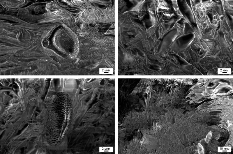 Взгляд изнутри: матрицы цифровых камер Взгляд изнутри: матрицы цифровых камер