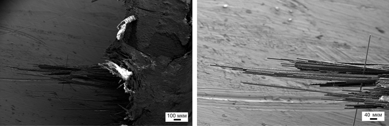 Взгляд изнутри: мир вокруг нас – 2 Взгляд изнутри: мир вокруг нас – 2