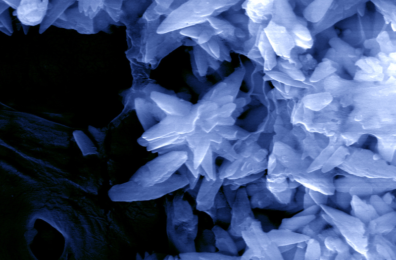 Взгляд изнутри: мир вокруг нас – 2