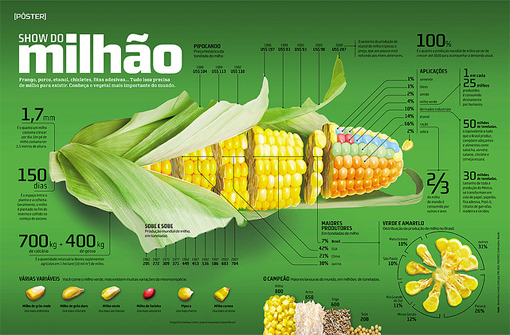 Зачем в инфографике смысл?