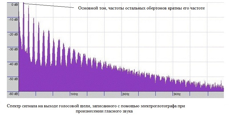 Изменения голосовых. Степень визуализации голосовой щели.