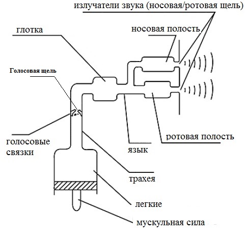 Задача изменения голоса. Часть 1. Что такое голос? Рисунок 4