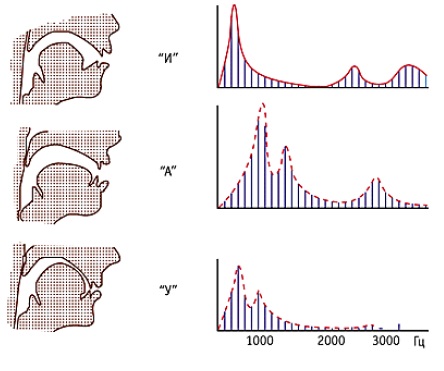 Задача изменения голоса. Часть 1. Что такое голос? Рисунок 5