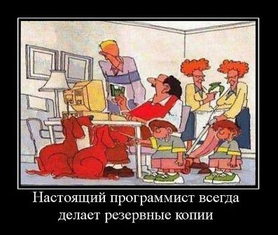 «Бэкапы» в живом организме