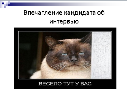 «Техническое интервью с человеческим лицом» Виктория Придатко