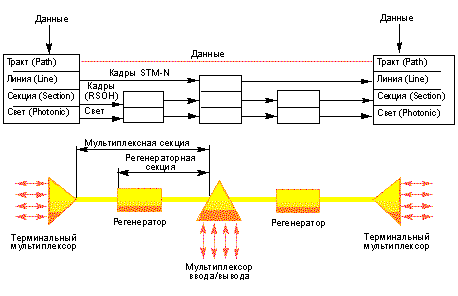 Устройство SDH сети - терминология, особенности топологии и элементы сети