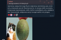 Анатомия VDD: Как я нашел RCE в форке Telegram, а Google Security не увидел «ничего вредоносного»