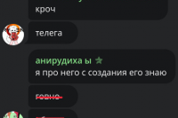 Импортозамещение, которое мы заслужили: Большой разбор клиента «Телега»