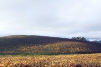 20 лет Windows XP