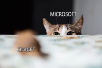 Почему OpenAI уволило Альтмана и что будет дальше с GPT