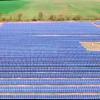 Беларусь строит солнечную электростанцию на 22,3 МВт возле Чернобыля
