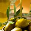 Оливки полезны для профилактики многих заболеваний