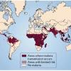 Малярия: конец истории?
