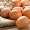 Ученым удалось вырастить яйцо без какого-либо вмешательства курицы