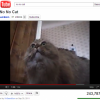 Без новых гаджетов не будет котиков: YouTube перестанет работать на старых устройствах-2