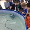 Первый конкурс по подводной робототехнике для учеников 1-4 классов