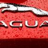 Jaguar Land Rover собирается вознаграждать владельцев автомобилей криптовалютой