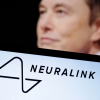 Компанию Neuralink Илона Маска могут обвинить в незаконном перемещении опасных патогенов
