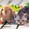 На удаление запрещённых ссылок «Яндекс» и Google получат всего 5 дней