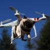 FAA создаёт консультативный комитет во главе с директором Intel для разработки норм коммерческого использования дронов