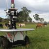 Снятся ли андроидам электроовцы? Сельскохозяйственные роботы Австралии заменяют на фермах работников-людей