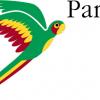 Краткая история продукции компании Parrot