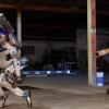 Google продаёт Boston Dynamics из-за разногласий по поводу роботов