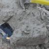 Защищенный смартфон Blackview BV6000 стоимостью $200 залили цементным раствором, после чего он сохранил работоспособность