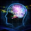 Ученые опять «ломают голову»: Возможен ли апгрейд мозга и что стоит от него ожидать