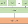 Таблица маршрутизации в Quagga