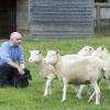 Клоны овечки Долли помогают доказывать безопасность SCNT-клонирования