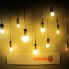 Китайцы покупают бизнес Osram по выпуску ламп за 400 млн евро