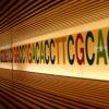 «Заложено природой»: Система хранения данных на основе ДНК