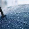 Японские разработчики создали зонтик, прогнозирующий погоду