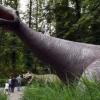 Сибирский динозавр оказался новым видом доисторического животного