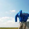PHP-Дайджест № 90 – интересные новости, материалы и инструменты (1 – 14 августа 2016)
