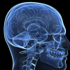 Стартап KerNEL пытается создать коммерческие мозговые импланты для улучшения памяти