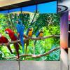 LG планирует в будущем году начать выпуск телевизоров с экранами на квантовых точках