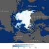 Размеры ледового покрова в Северном Ледовитом океане побили рекордный минимум 2007 года