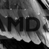 С 2017 по 2019 год процессоры AMD будут носить птичьи имена