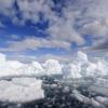 Арктические льды никуда не исчезают