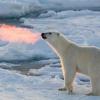 Эксперты предсказывали исчезновение арктического льда к сентябрю 2016 — и ошиблись