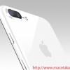 Смартфоны iPhone 7 и iPhone 7 Plus могут стать доступными в цвете Jet White