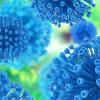 Прорыв в борьбе с ВИЧ: новое антитело блокирует 98% всех известных штаммов вируса
