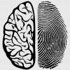 Сканирование физической структуры мозга устанавливает личность человека с точностью, близкой к 100%