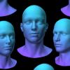 Специалисты MIT считают, что им удалось лучше понять, как мозг распознает лица