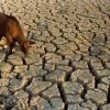 Землю, возможно, ожидает сильная засуха