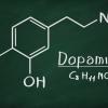 При малом количестве дофамина похудеть невозможно