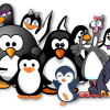 Linux-2017: самые перспективные дистрибутивы