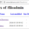Компания Denuvo засветила директорию -fileadmin
